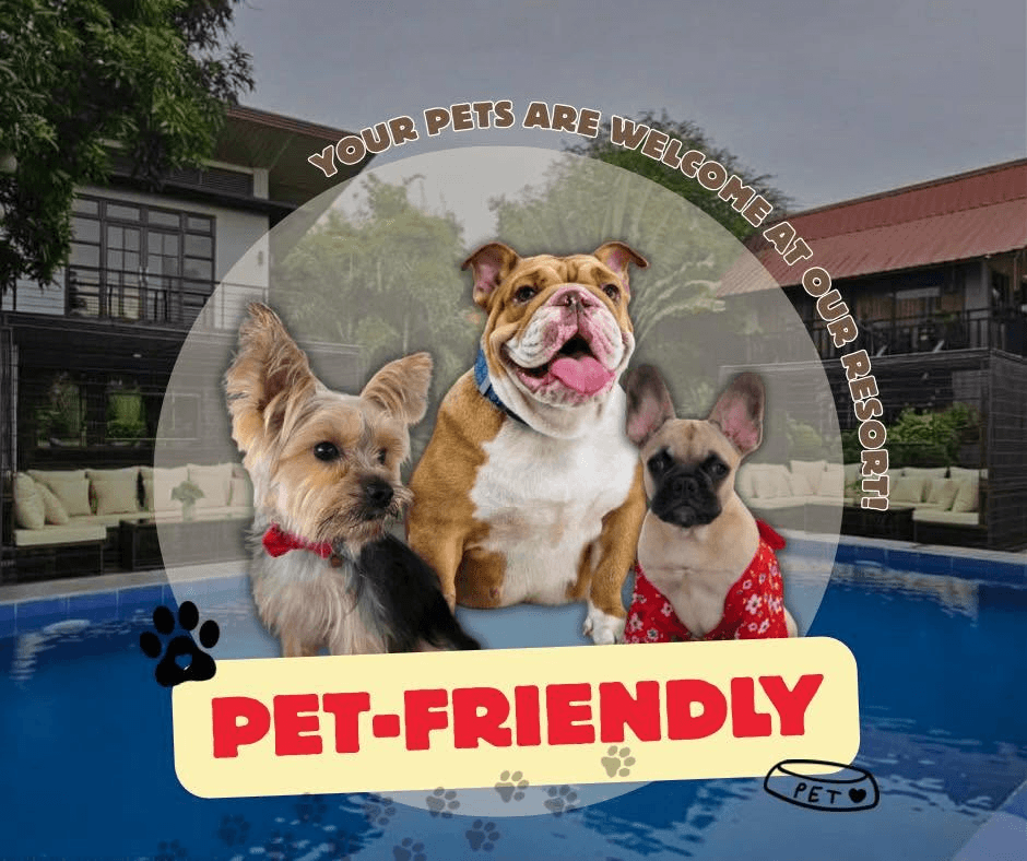 Dogs are welcome at Nokori Private Resort